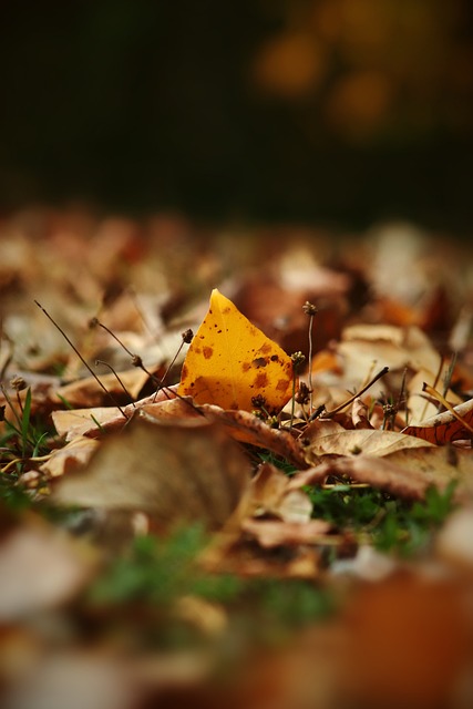 定期体检和 定期体检和