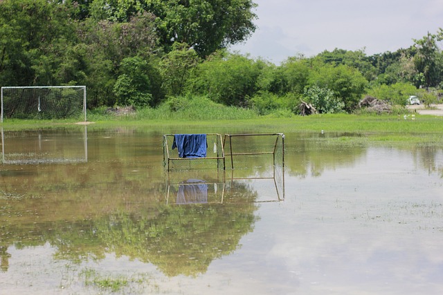 队的高效外 队的高效外