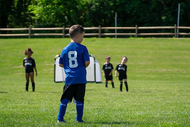 关键时刻屡 关键时刻屡