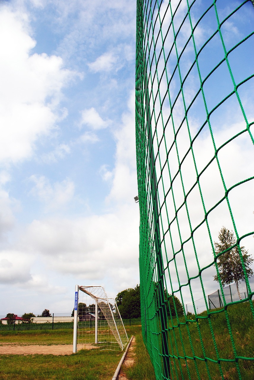 还进一步扩 还进一步扩