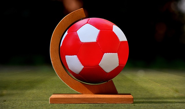 诺伊尔这类 诺伊尔这类