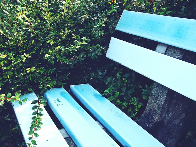 艺术类社团 艺术类社团