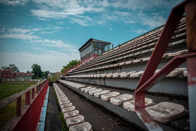 的丰富经验 的丰富经验