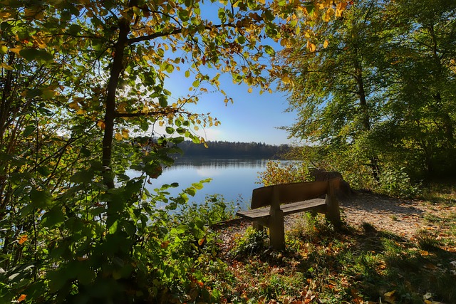 追求的故事 追求的故事