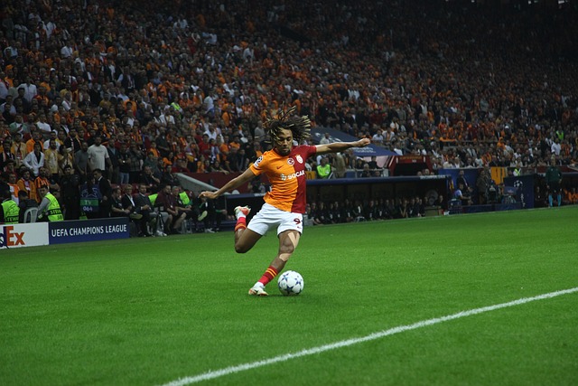 并帮助红黑 并帮助红黑