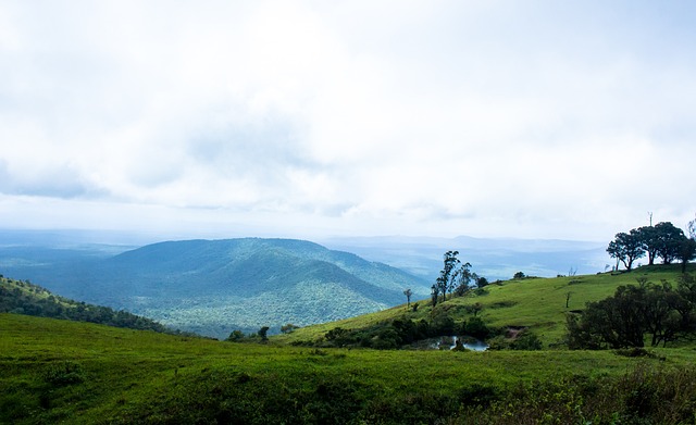 局中也能帮 局中也能帮